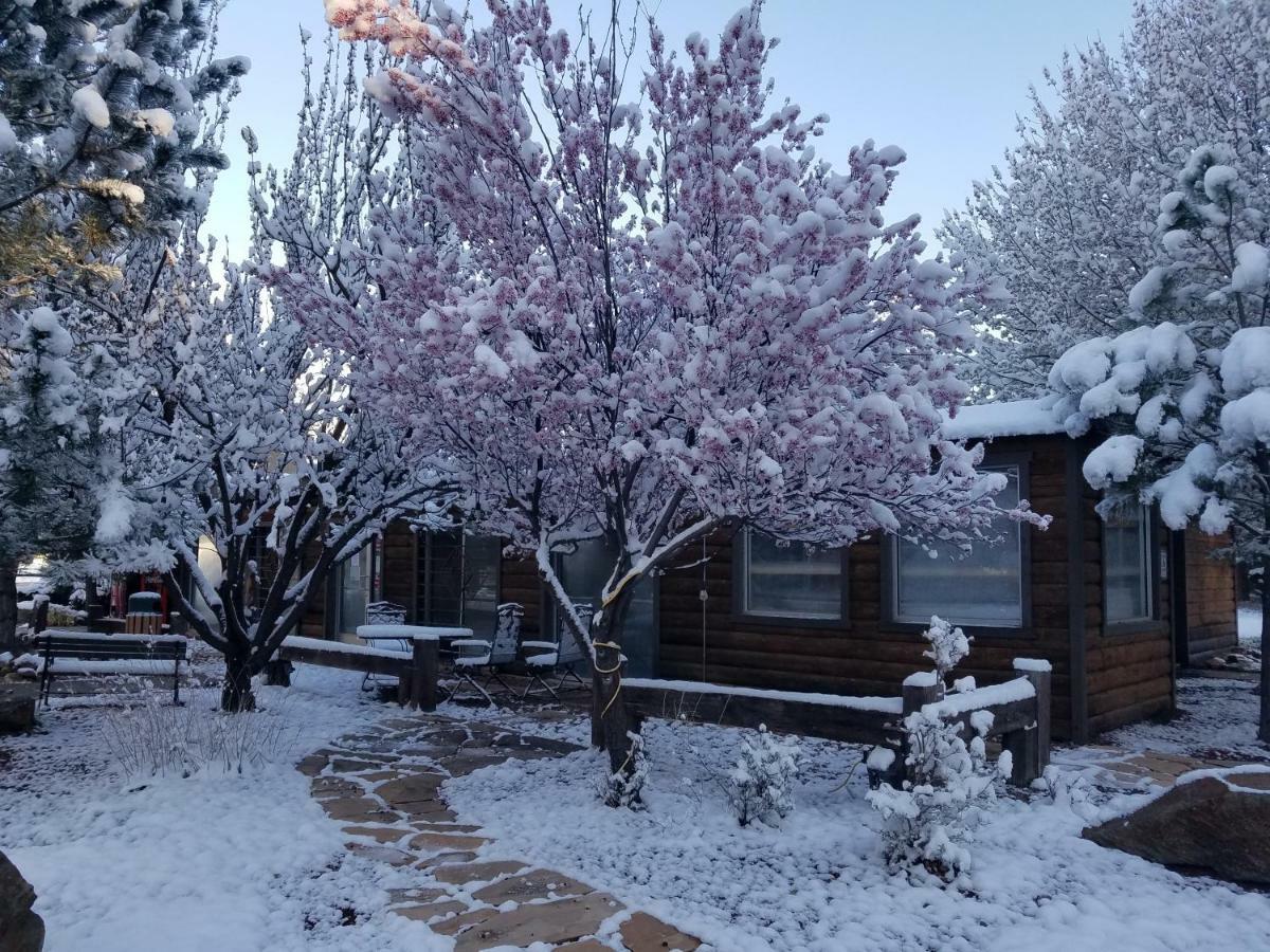West Winds Lodge รุยโดโซ ภายนอก รูปภาพ